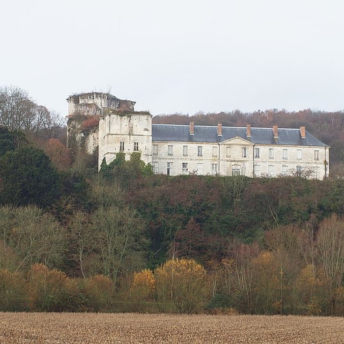 Photo de Château de Tancarville