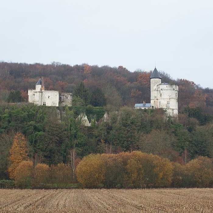 Photo de Château de Tancarville