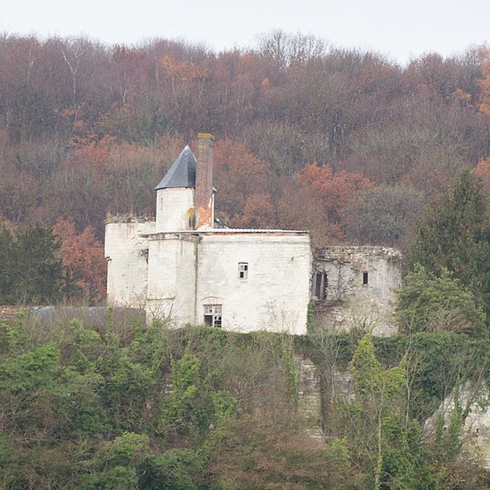 Photo de Château de Tancarville