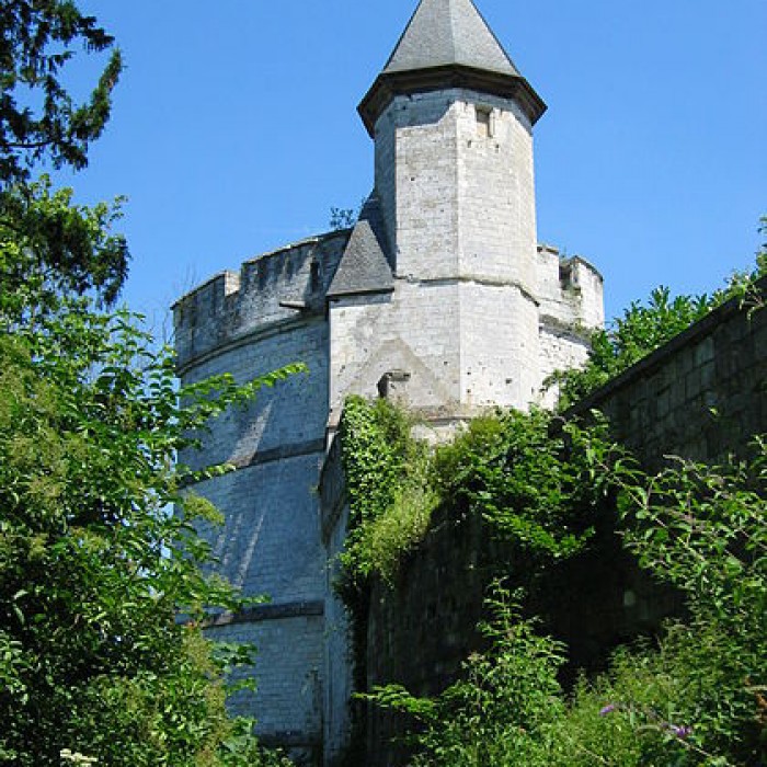 Photo de Château de Tancarville