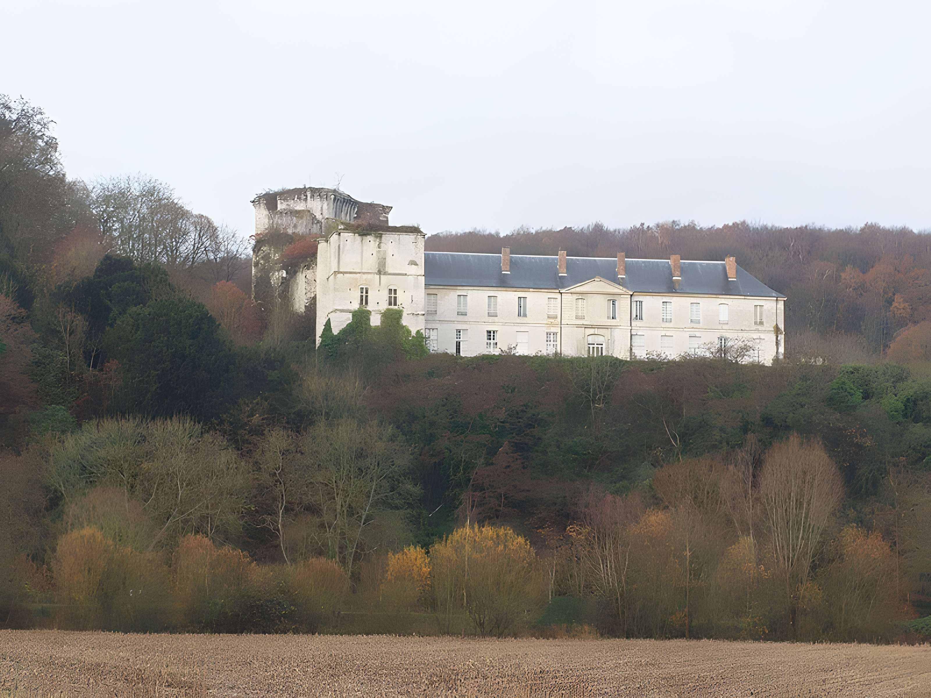 Château de Tancarville