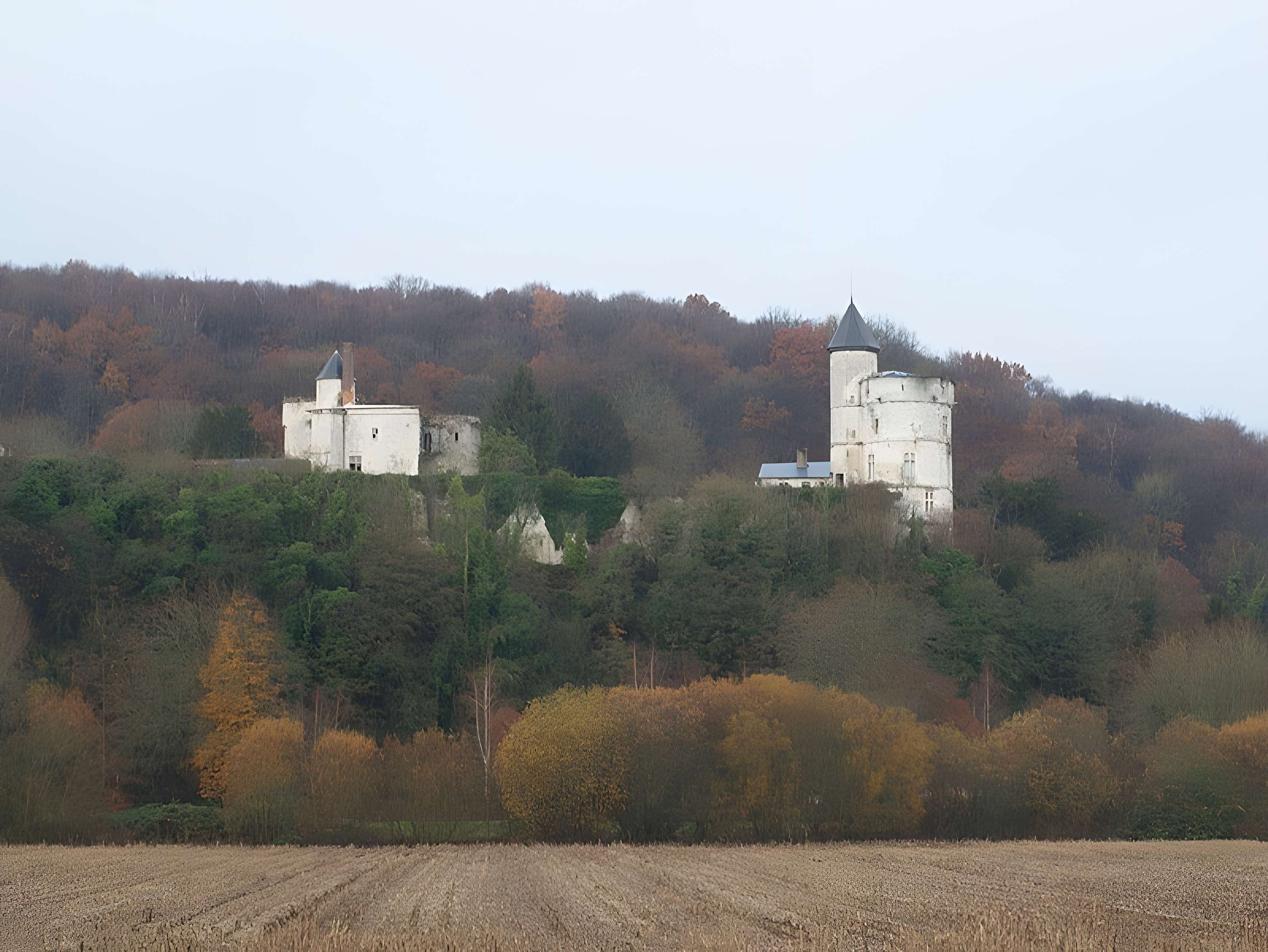 Château de Tancarville