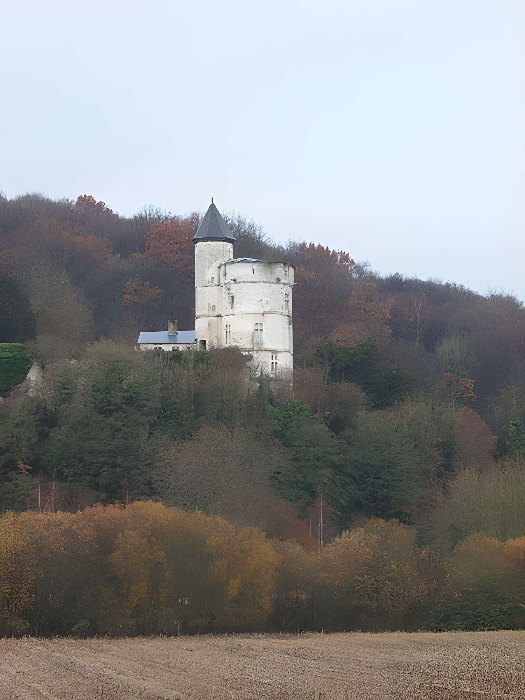 Château de Tancarville