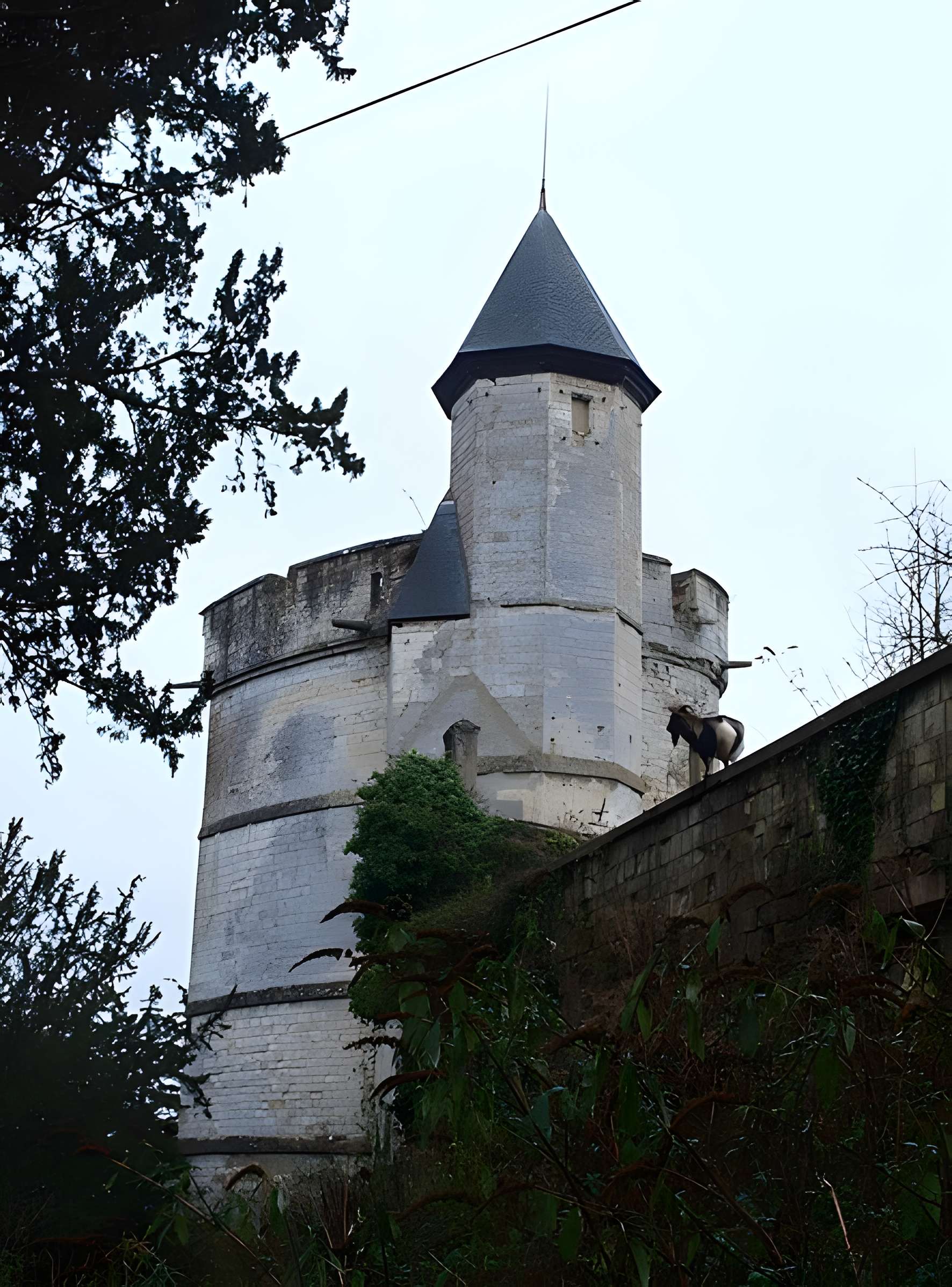 Château de Tancarville