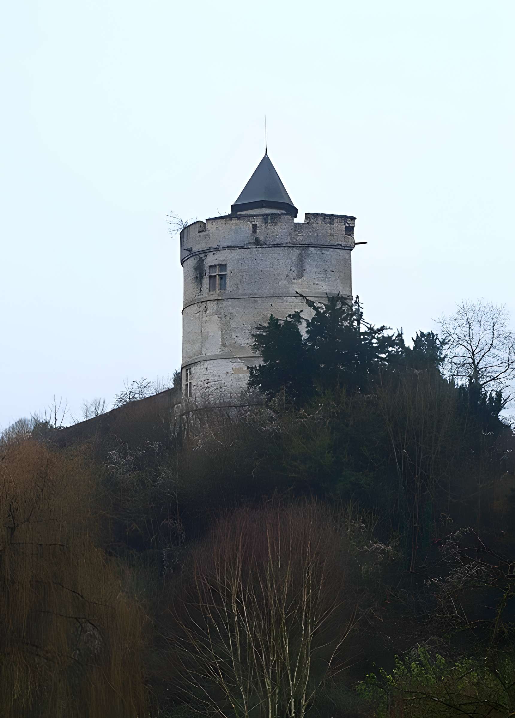 Château de Tancarville