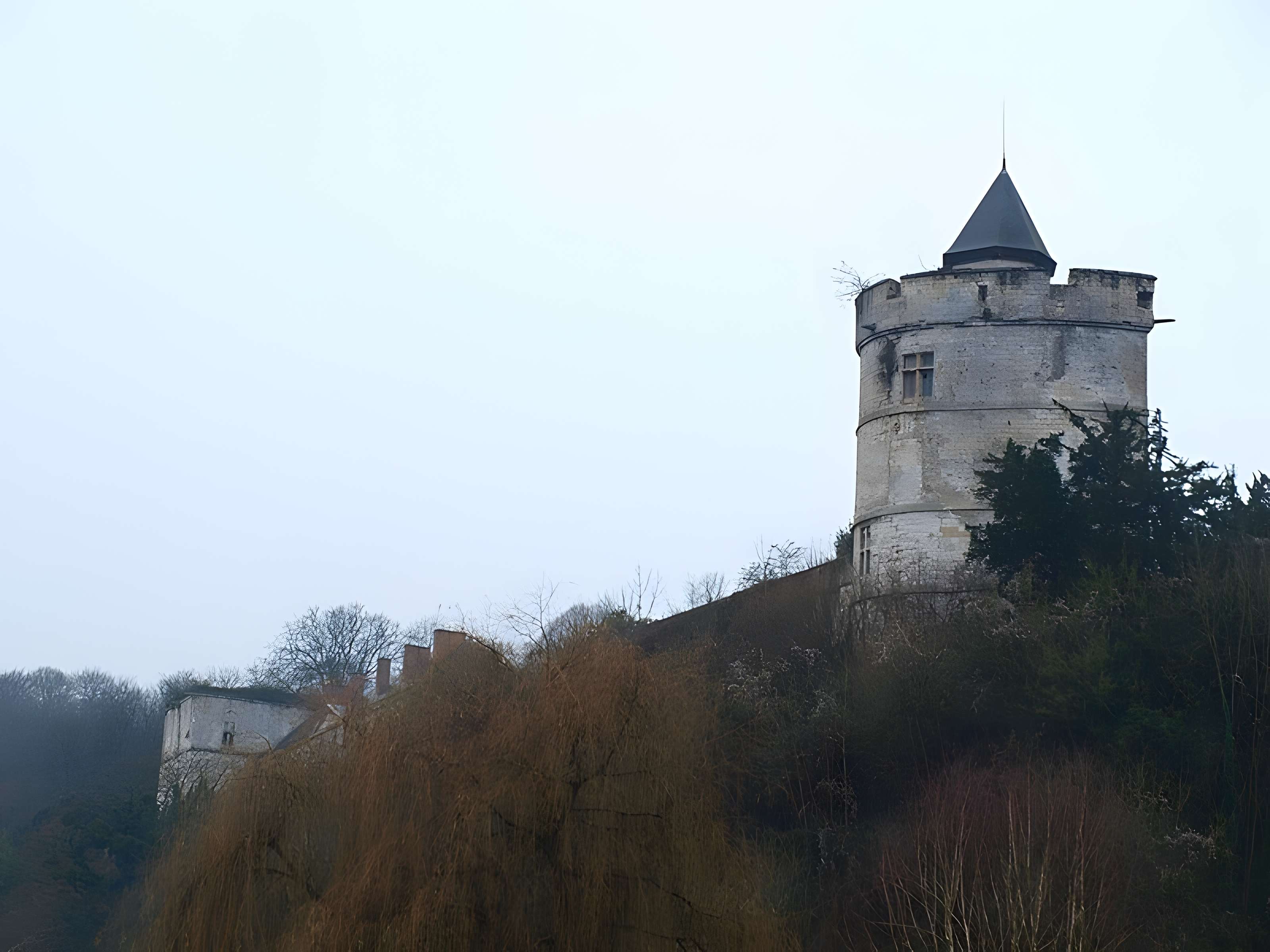 Château de Tancarville