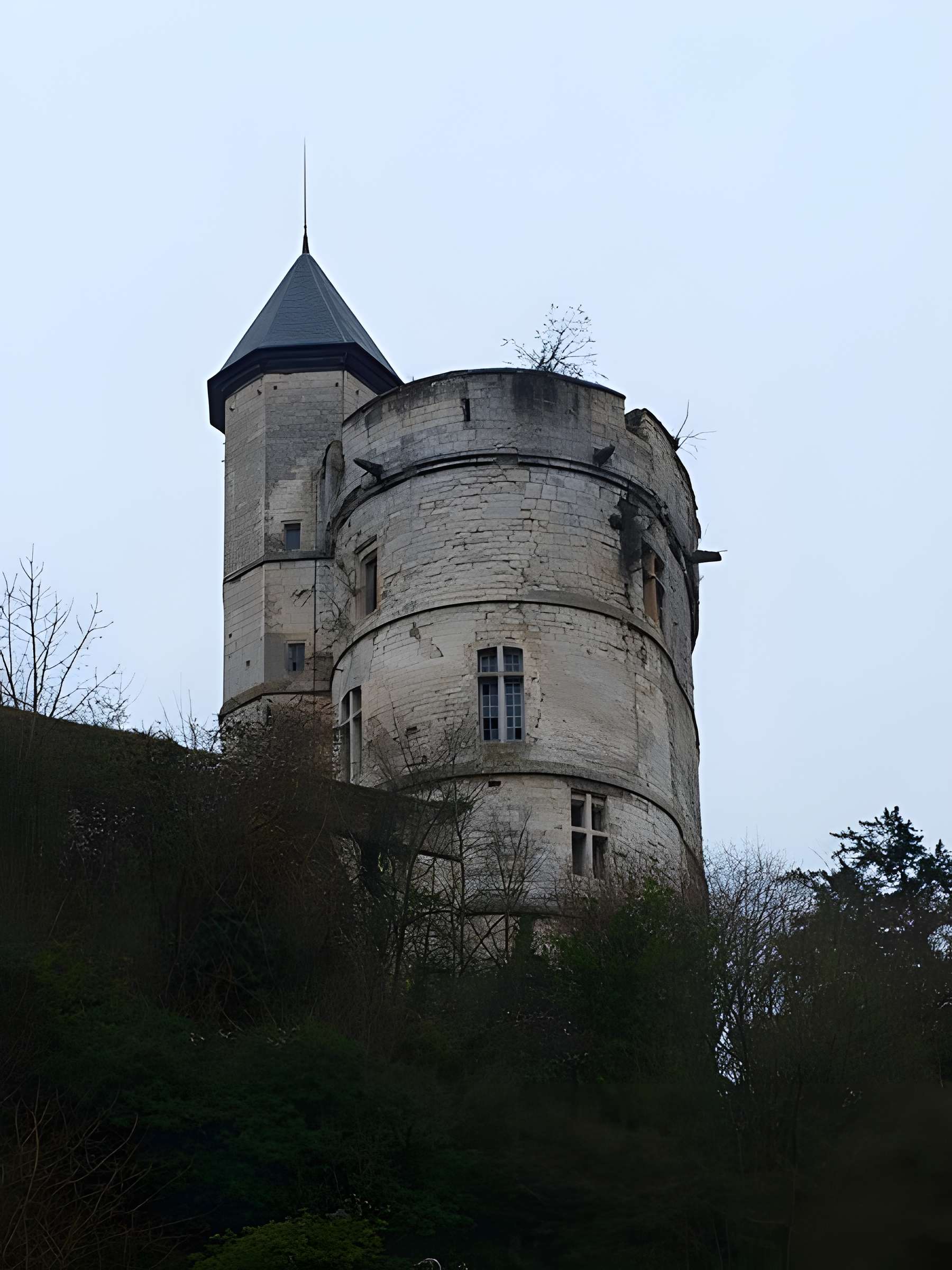Château de Tancarville