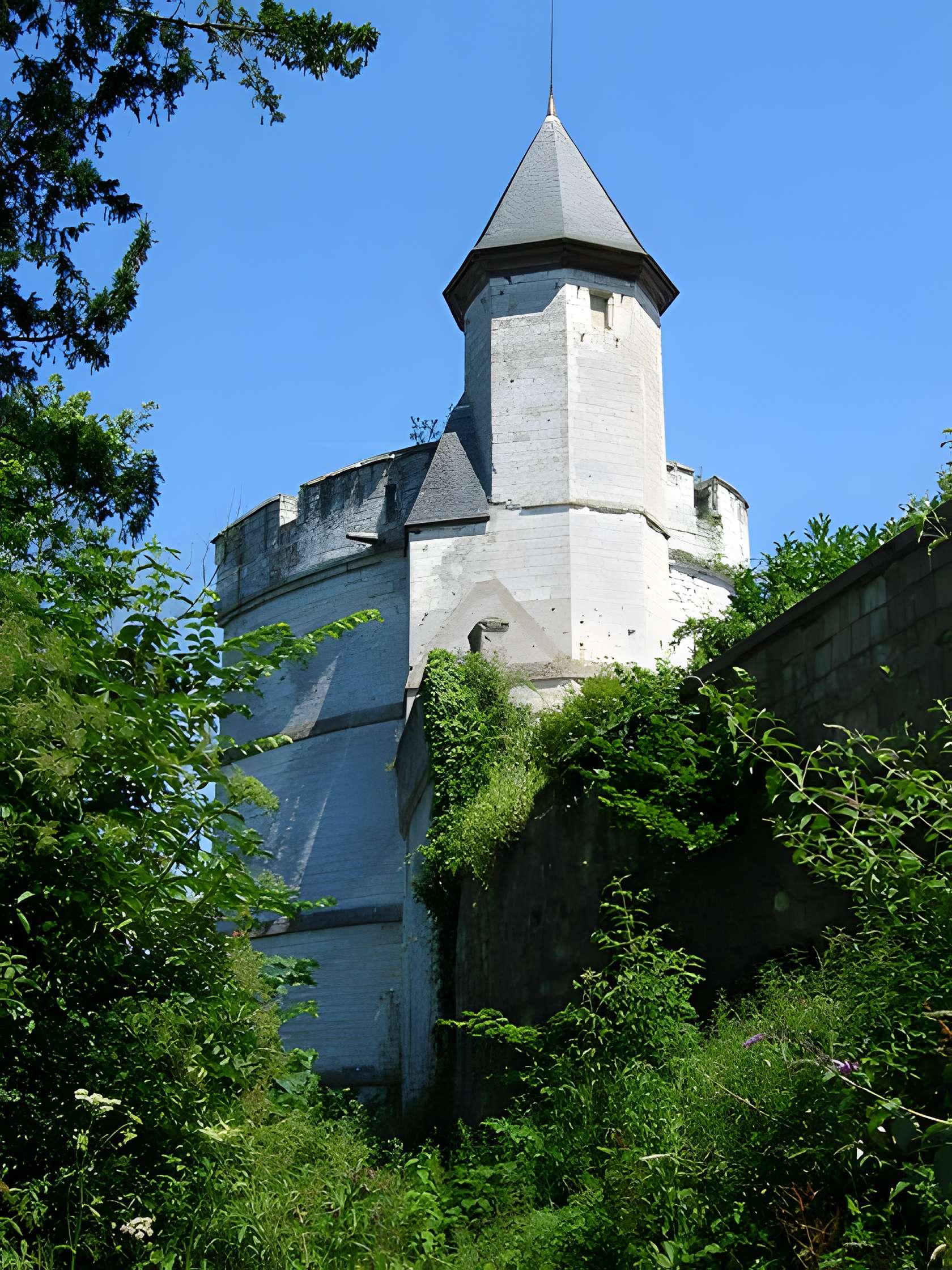 Château de Tancarville 
