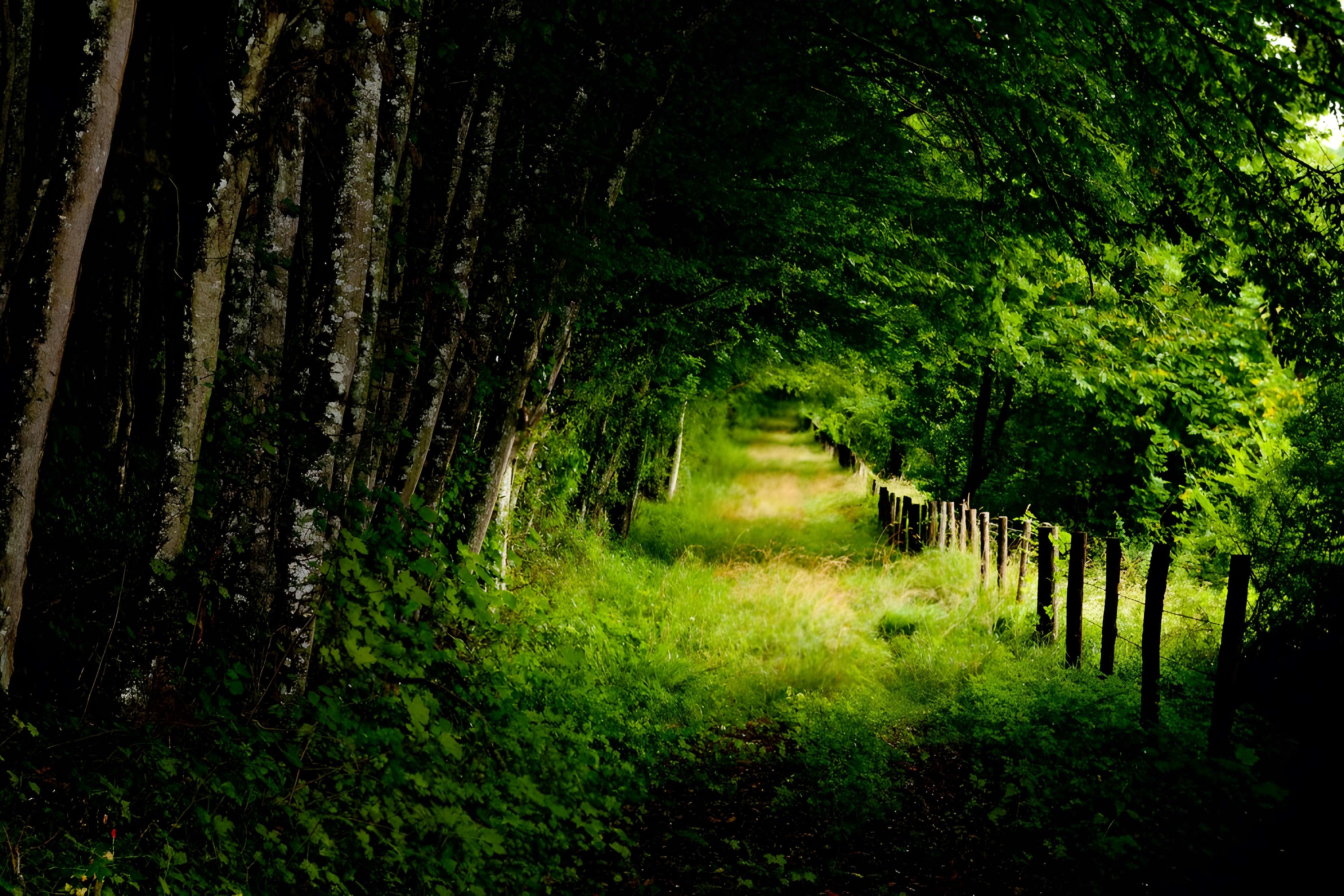 Château de Valençay 
