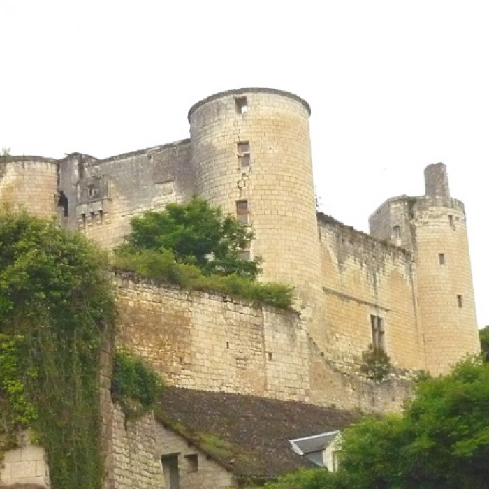 Photo de Château de Villentrois