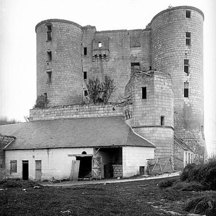 Photo de Château de Villentrois