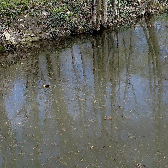 Photo de Château de Villiers-le-Mahieu