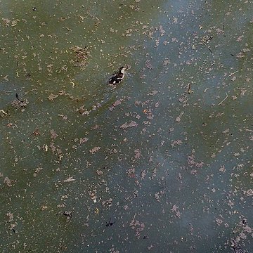 Château de Villiers-le-Mahieu