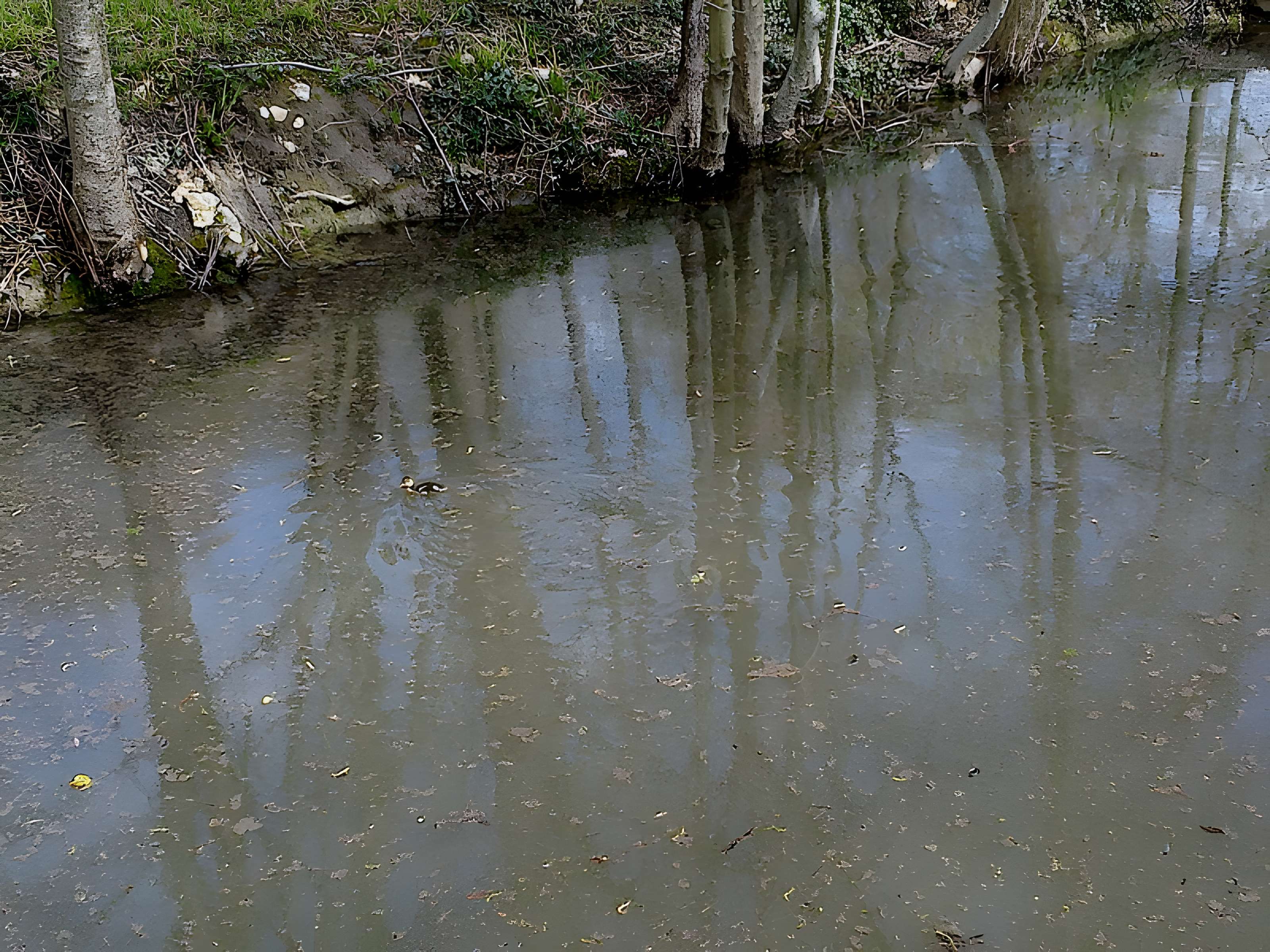 Château de Villiers-le-Mahieu