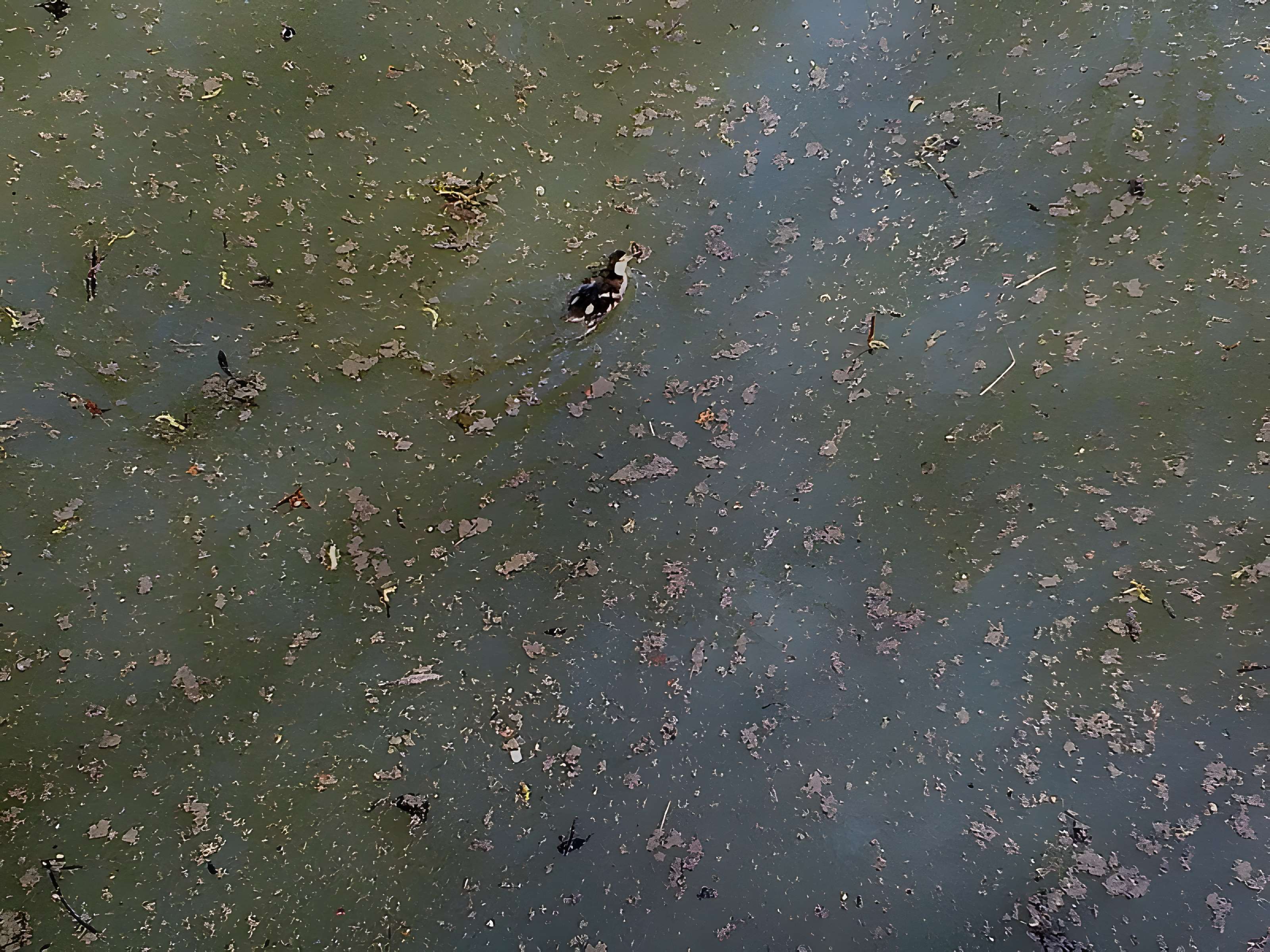 Château de Villiers-le-Mahieu