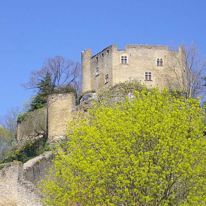 Photo de Château delphinal de Crémieu