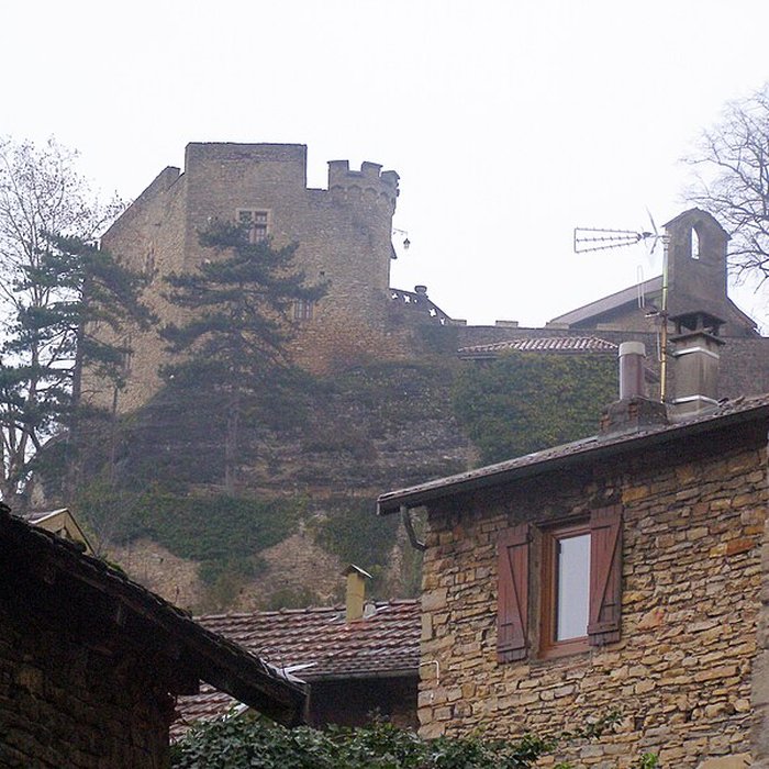 Photo de Château delphinal de Crémieu