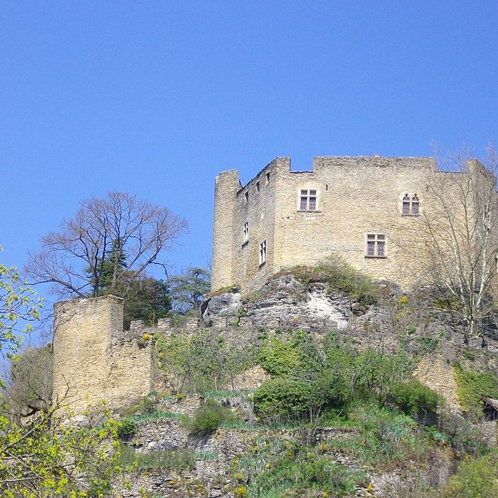 Photo de Château delphinal de Crémieu