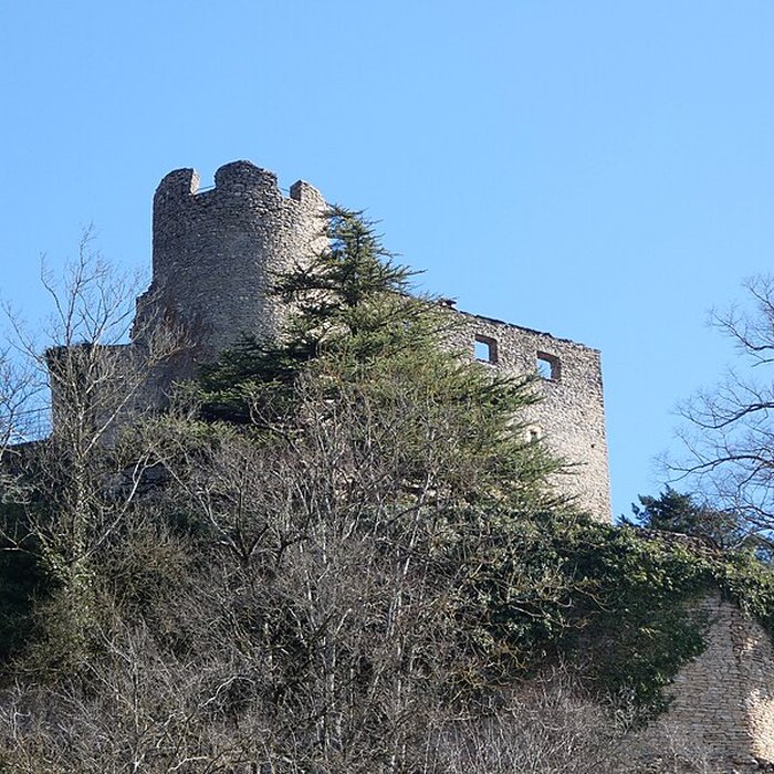 Photo de Château delphinal de Crémieu