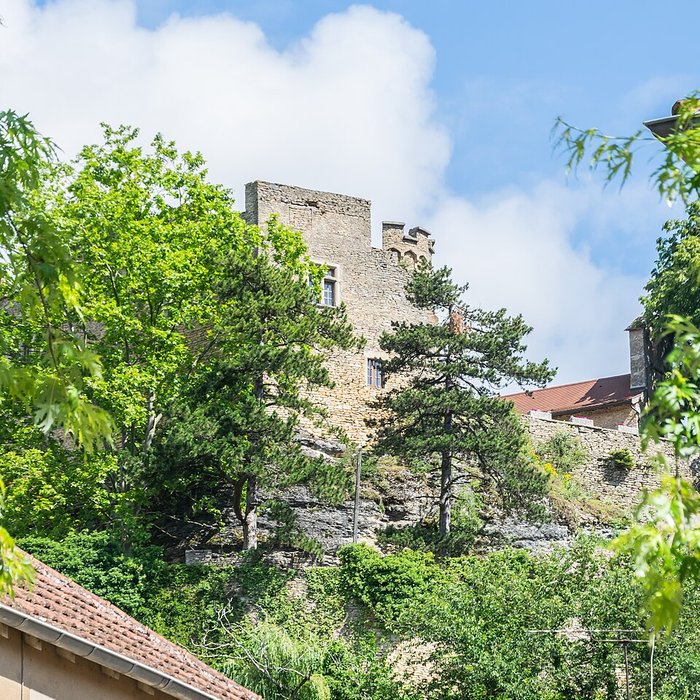 Photo de Château delphinal de Crémieu