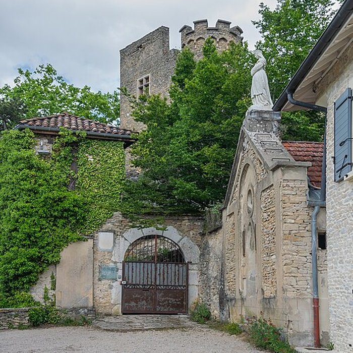 Photo de Château delphinal de Crémieu