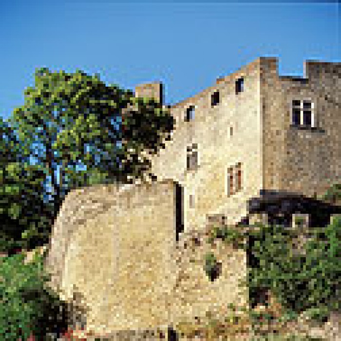 Photo de Château delphinal de Crémieu