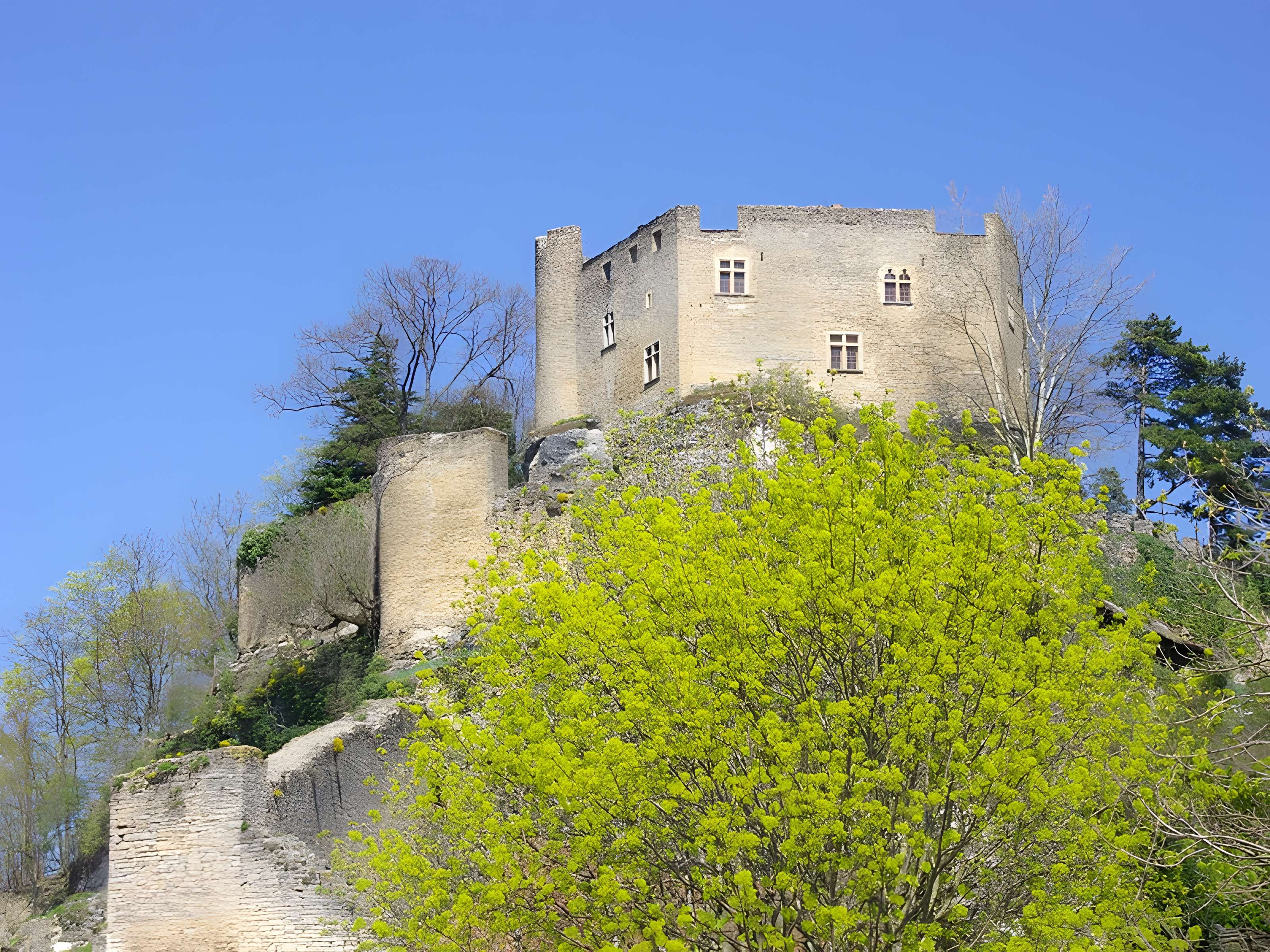 Château delphinal de Crémieu