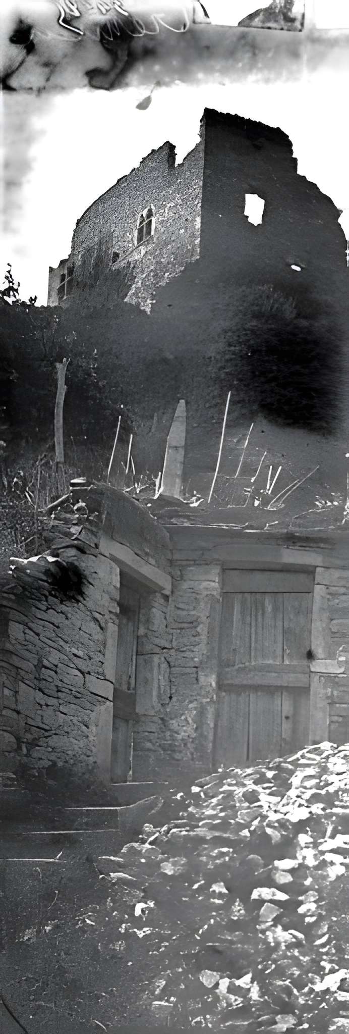 Château delphinal de Crémieu