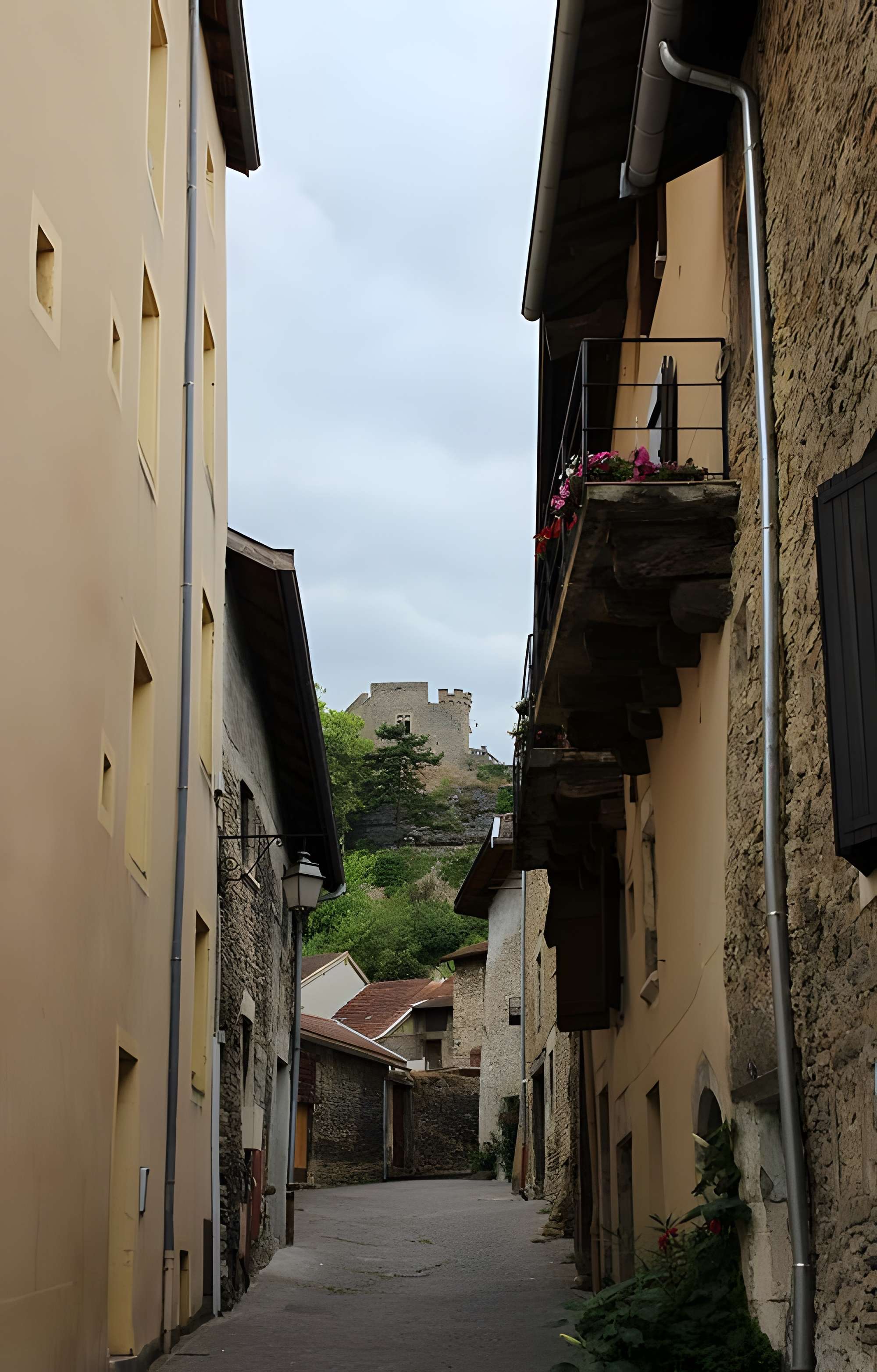 Château delphinal de Crémieu