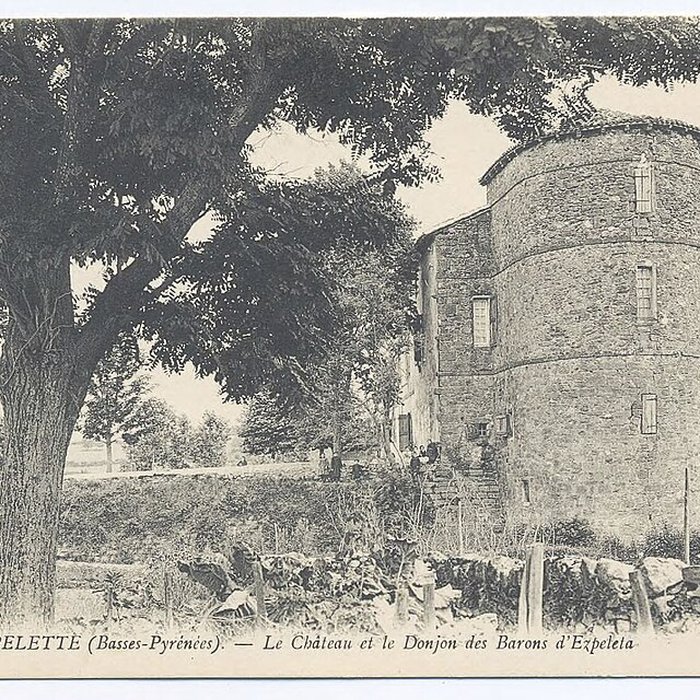 Photo de Château des Barons dEzpeleta