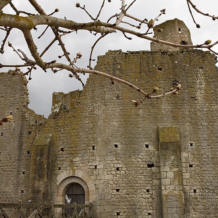 Photo de Château des évêques de Poitiers