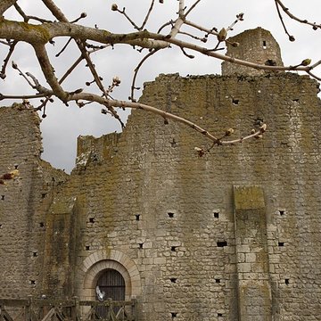 Château des évêques de Poitiers