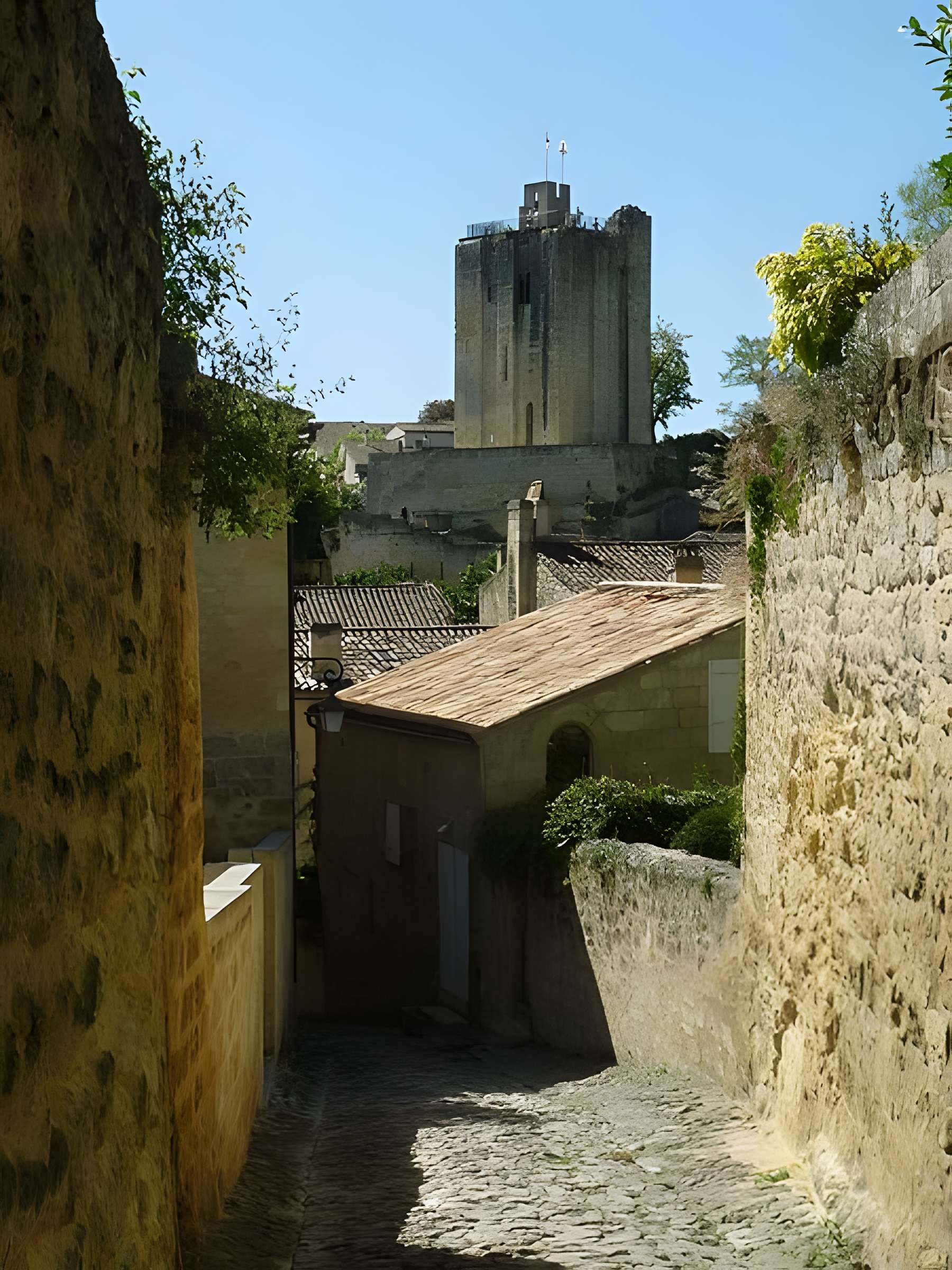 Château du Roi à Saint-Emilion