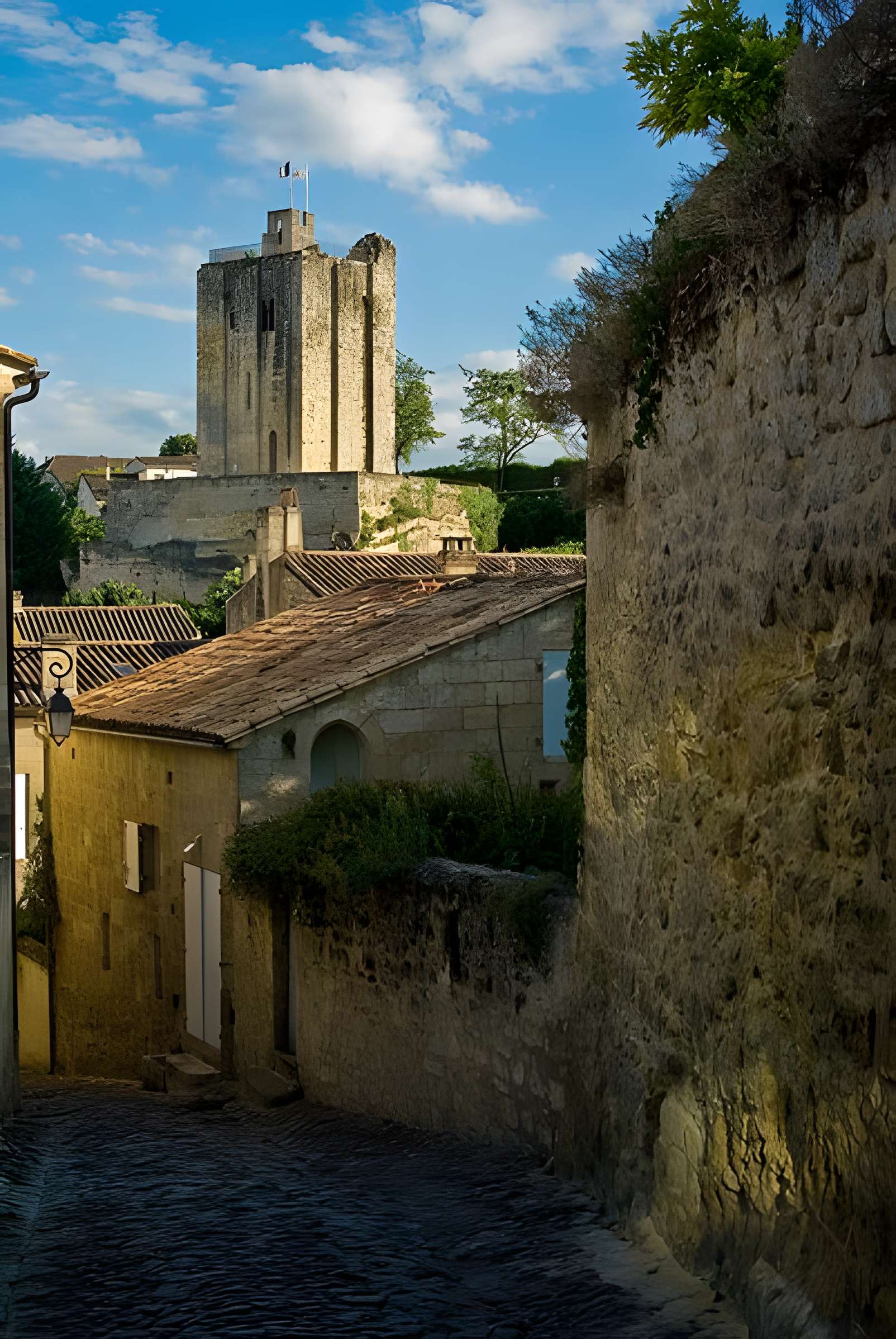 Château du Roi à Saint-Emilion