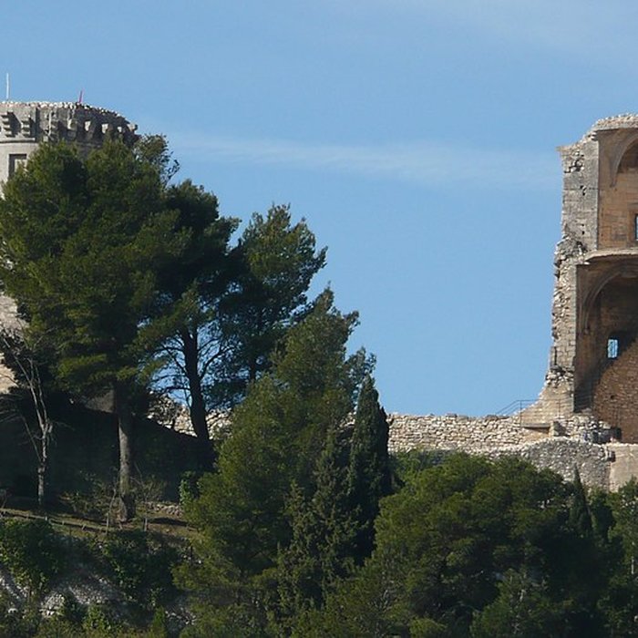 Photo de Château féodal de Châteaurenard