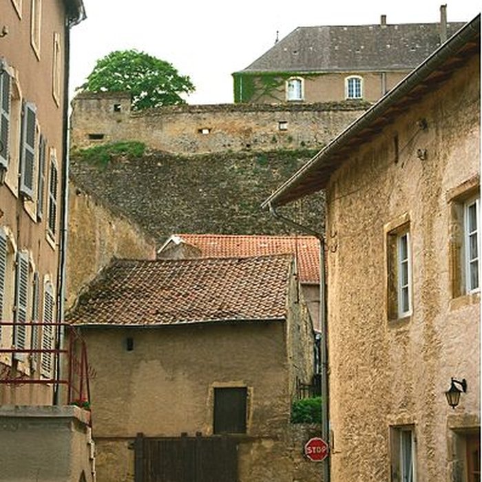 Photo de Château-fort de Rodemack