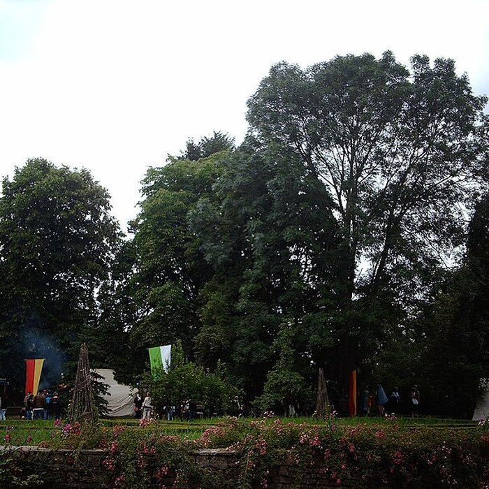 Photo de Château-fort de Rodemack