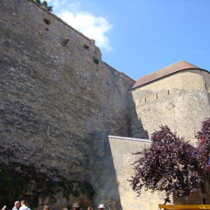 Photo de Château-fort de Rodemack