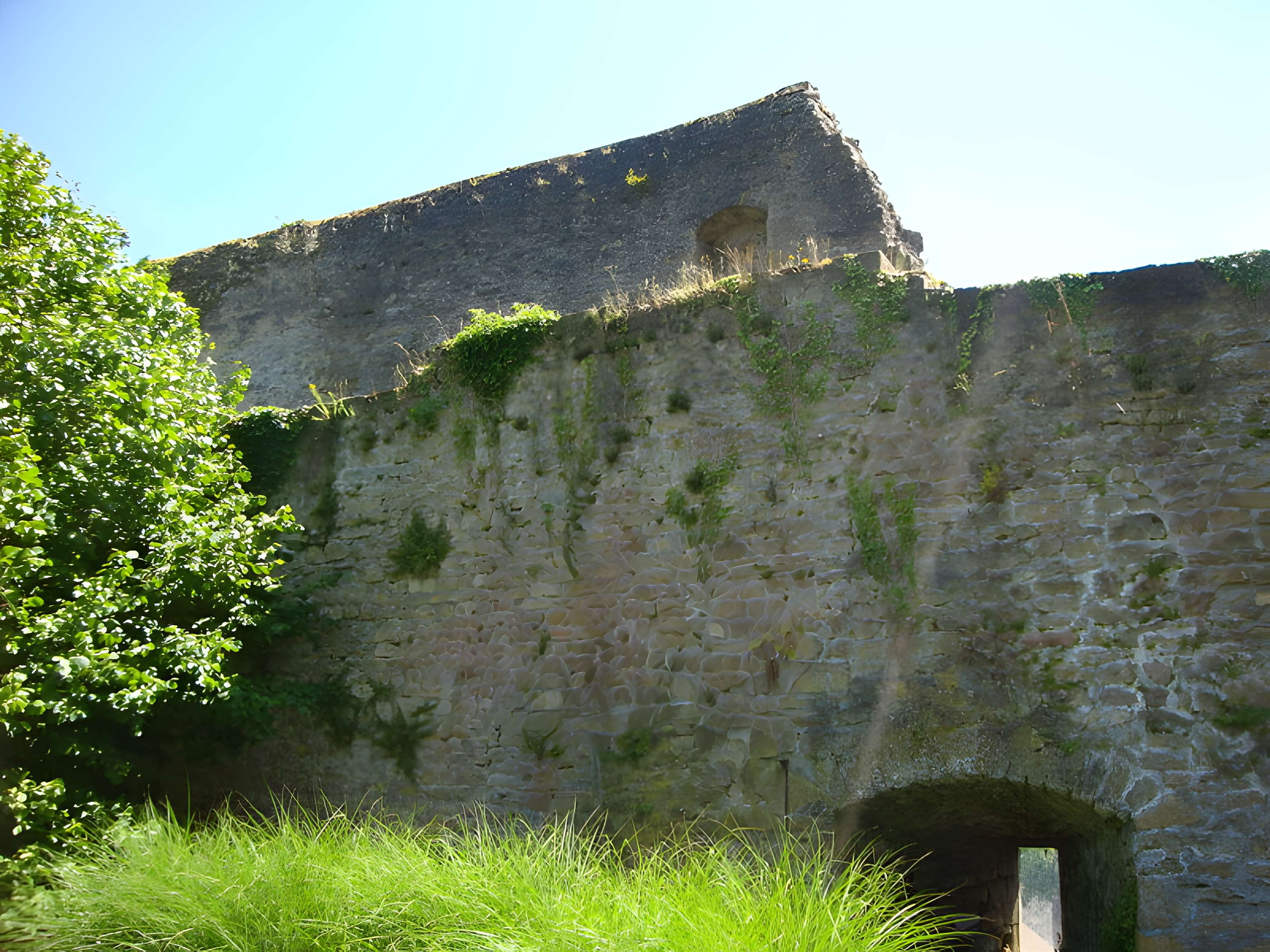 Château-fort de Rodemack