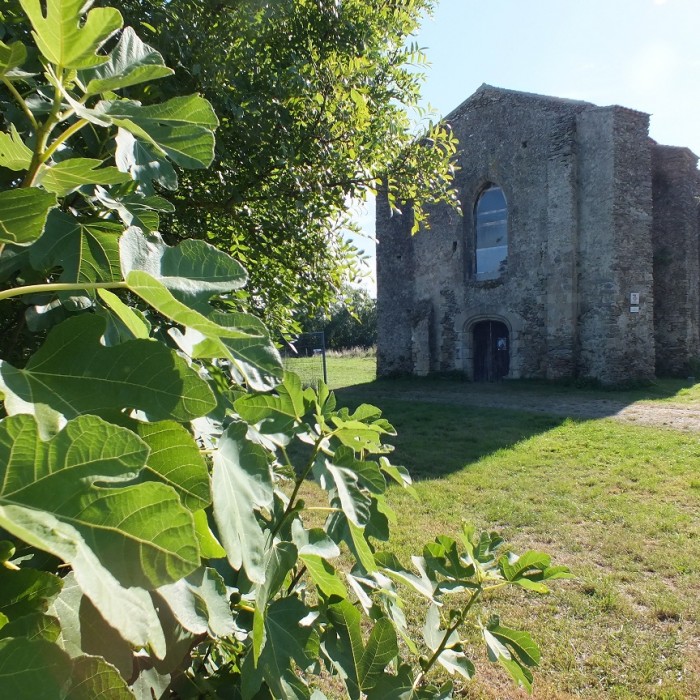 Photo de Commanderie de Coudrie