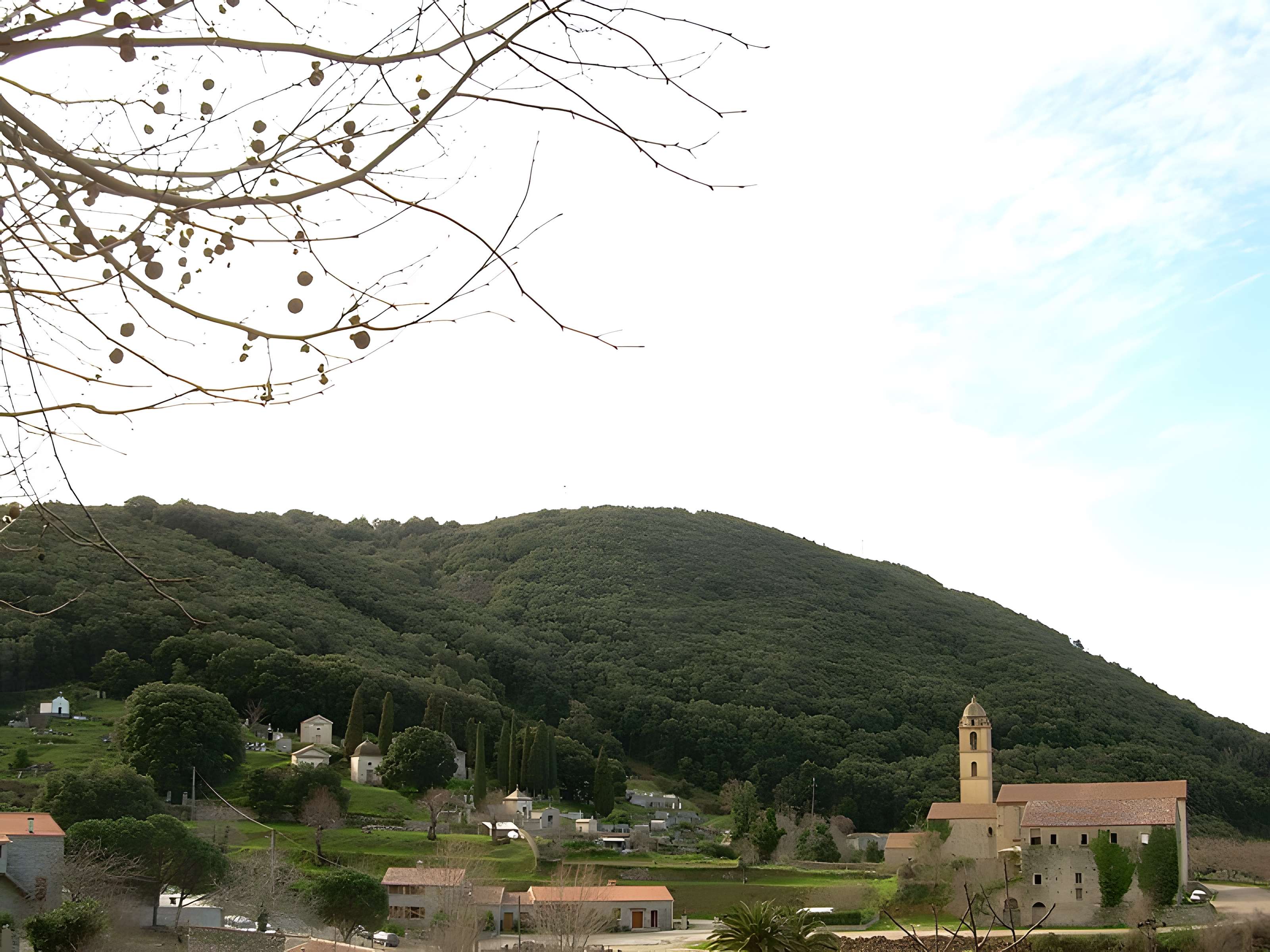 Couvent Saint-François de Sainte-Lucie-de-Tallano