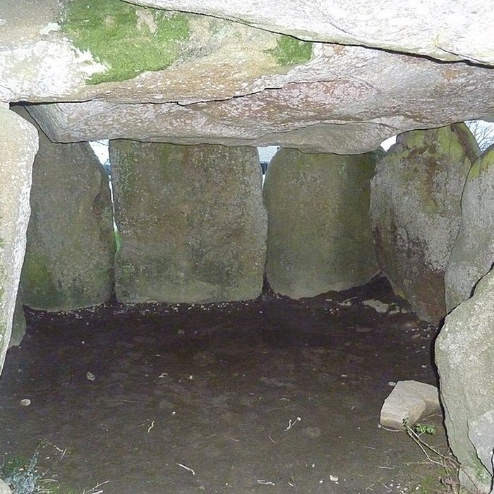 Photo de Dolmen de Crucuno à Plouharnel