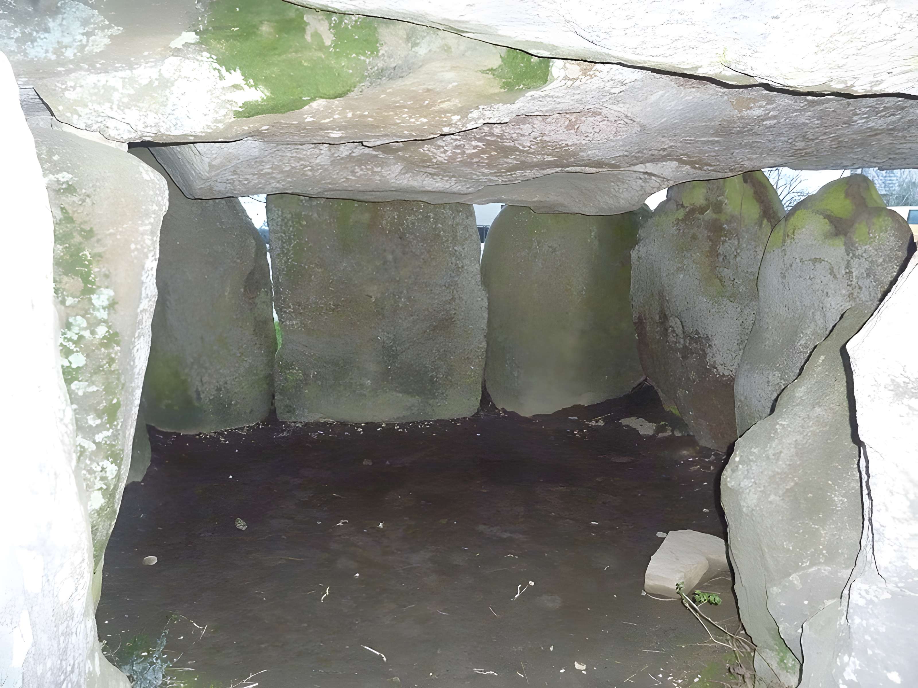 Dolmen de Crucuno à Plouharnel