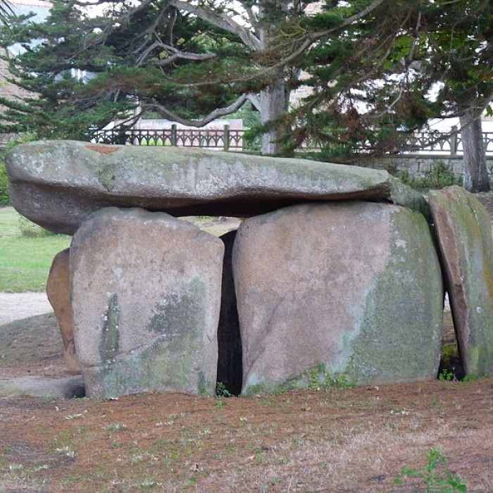 Photo de Dolmen de Kerellec à Trébeurden