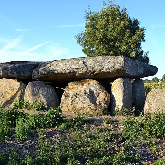 Photo de Dolmen de la Frébouchère au Bernard