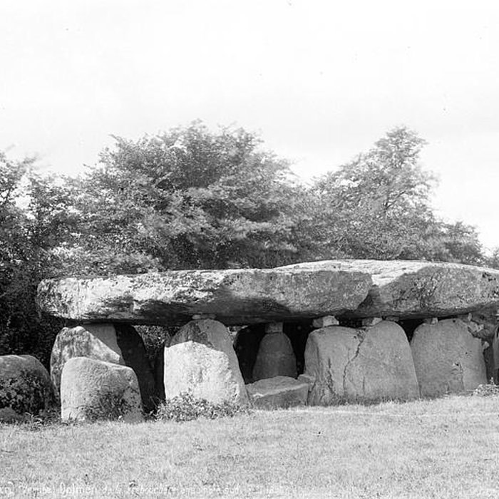 Photo de Dolmen de la Frébouchère au Bernard