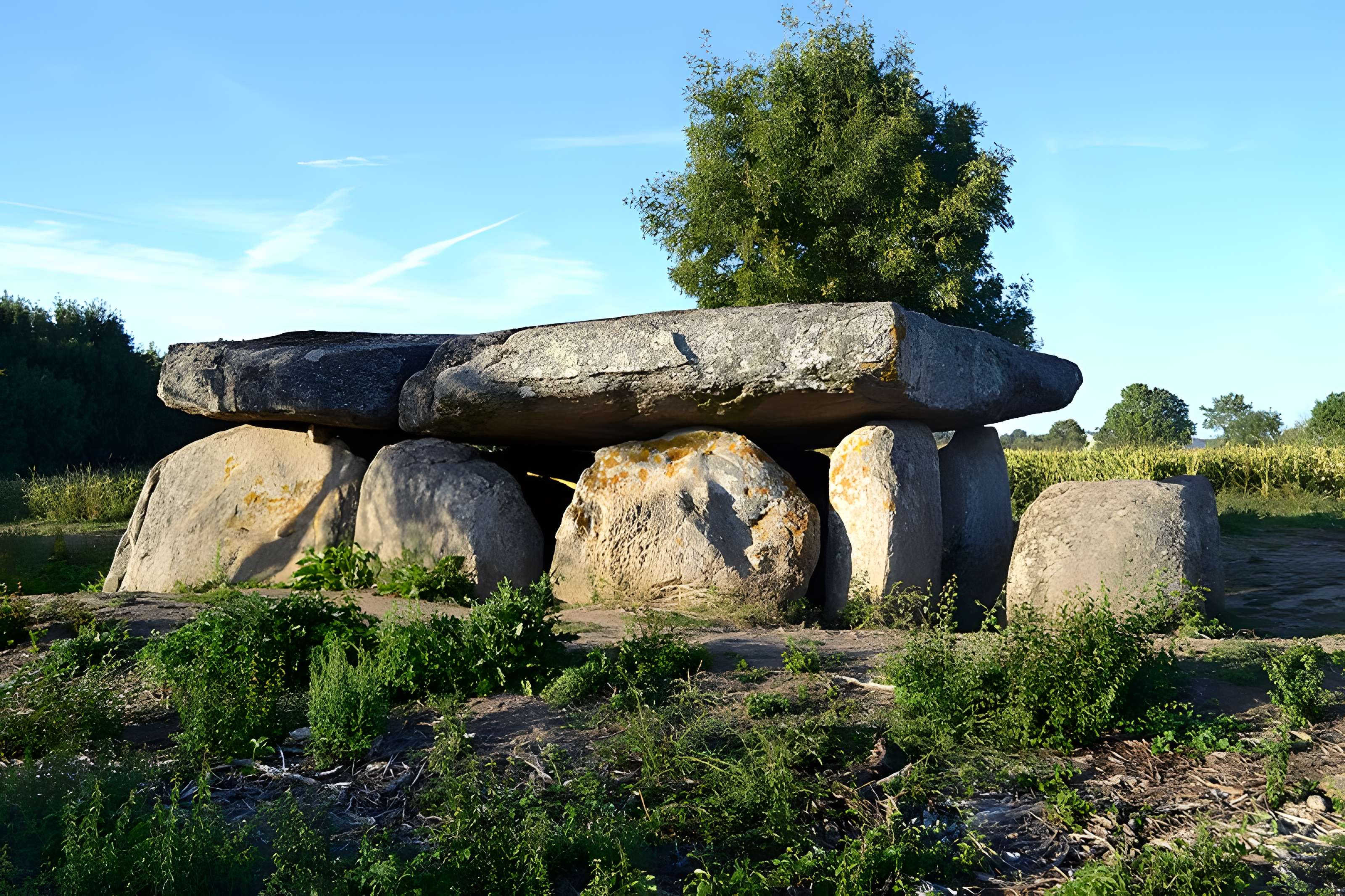 Dolmen de la Frébouchère au Bernard