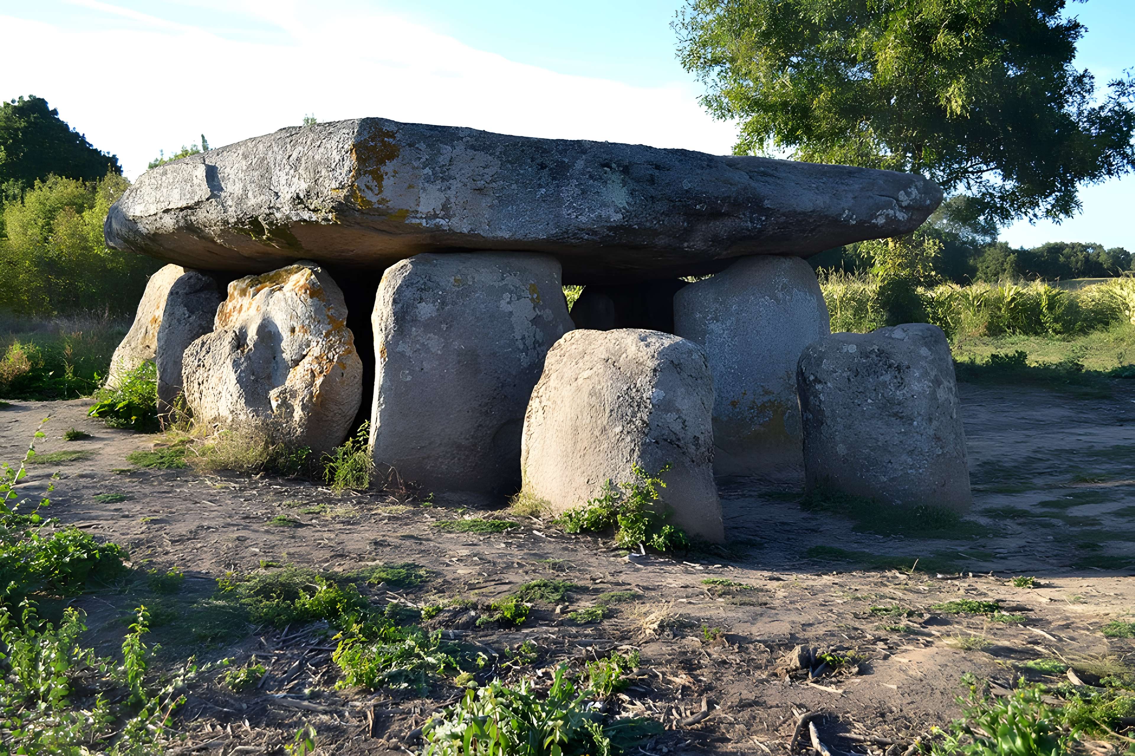 Dolmen de la Frébouchère au Bernard