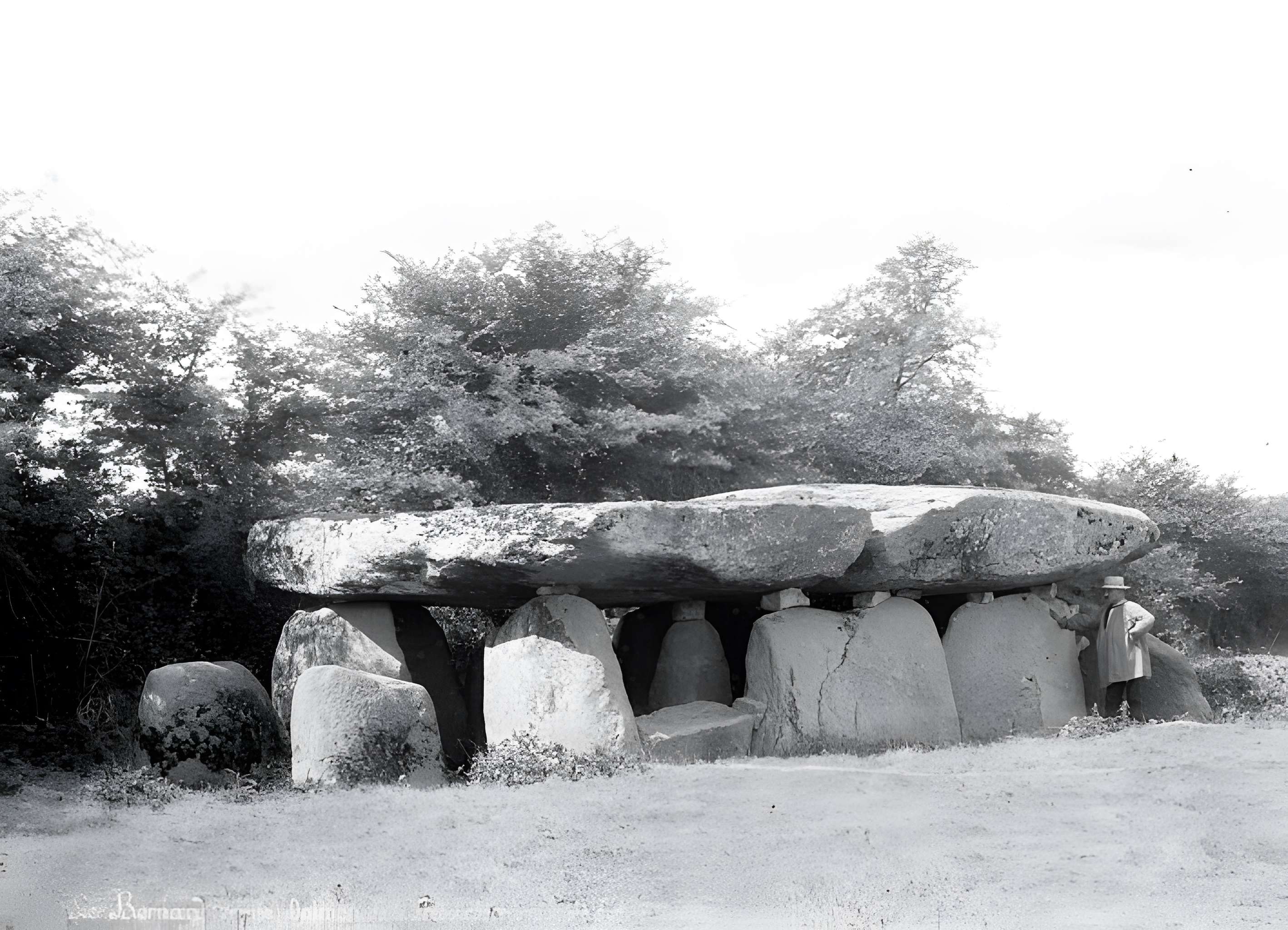 Dolmen de la Frébouchère au Bernard