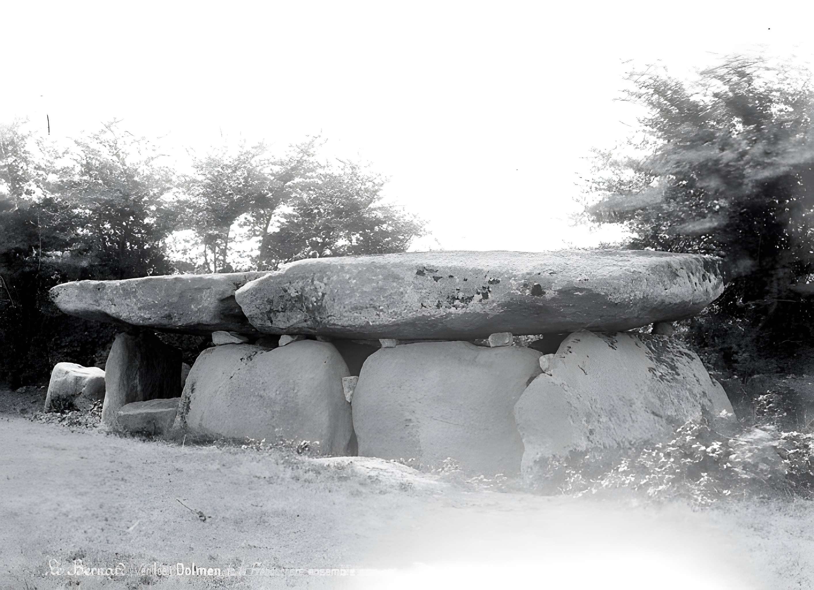 Dolmen de la Frébouchère au Bernard